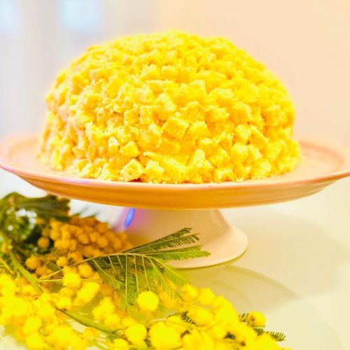 tmimosa